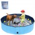 63 Inch Foldable Dog Pool, Large Kiddie Pool for Kids Portable Pet Pool for Dogs, Swimming Pool Bathing Tub for Dogs Cats