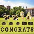 17 Pcs Graduation Yard Sign Decorations Congrats Graduation Lawn Signs 2022 Grad Yard Signs with 34 Stakes for Outdoor Lawn Congrats Graduation Party Decoration Class of 2022 Supplies(Black and Gold)