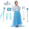 Princess Dress Fancy Costume for Girls 