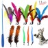 11pcs Cat Teaser Stick Caterpillar Feather Replacement Head Pet Set Retractable Fishing Rod Cat Toys